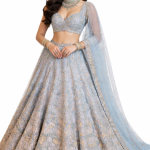 EMBROIDED LEHENGA FOR PARTY AND WEDDING